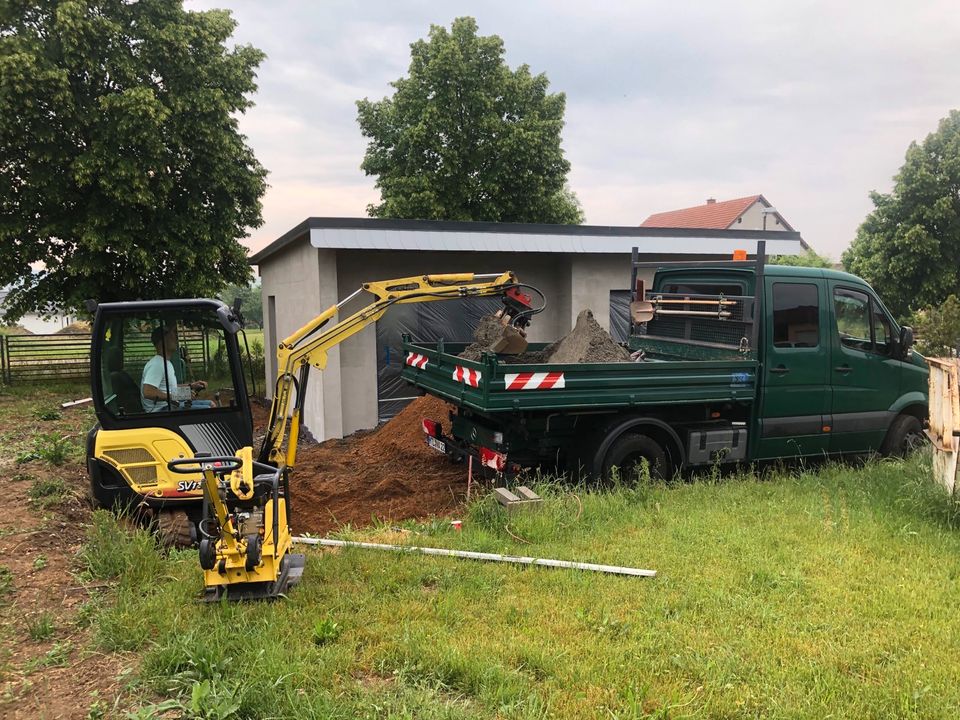 Hecke schneiden, Pflasterarbeiten, Zaunbau, Baumfällarbeiten in Hartha