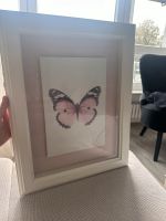 Schmetterling Bild Ikea Essen - Essen-Borbeck Vorschau