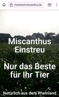 Miscanthus / Einstreu / Elefantengras / Boxen / Perde Nordrhein-Westfalen - Titz Vorschau