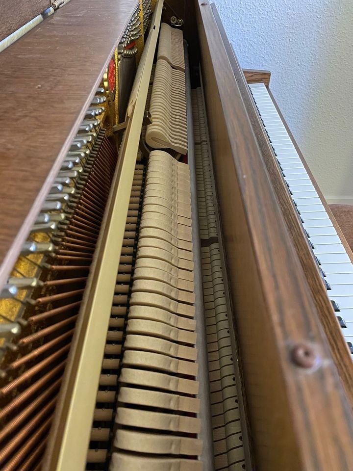 Schimmel Klavier in Leinfelden-Echterdingen