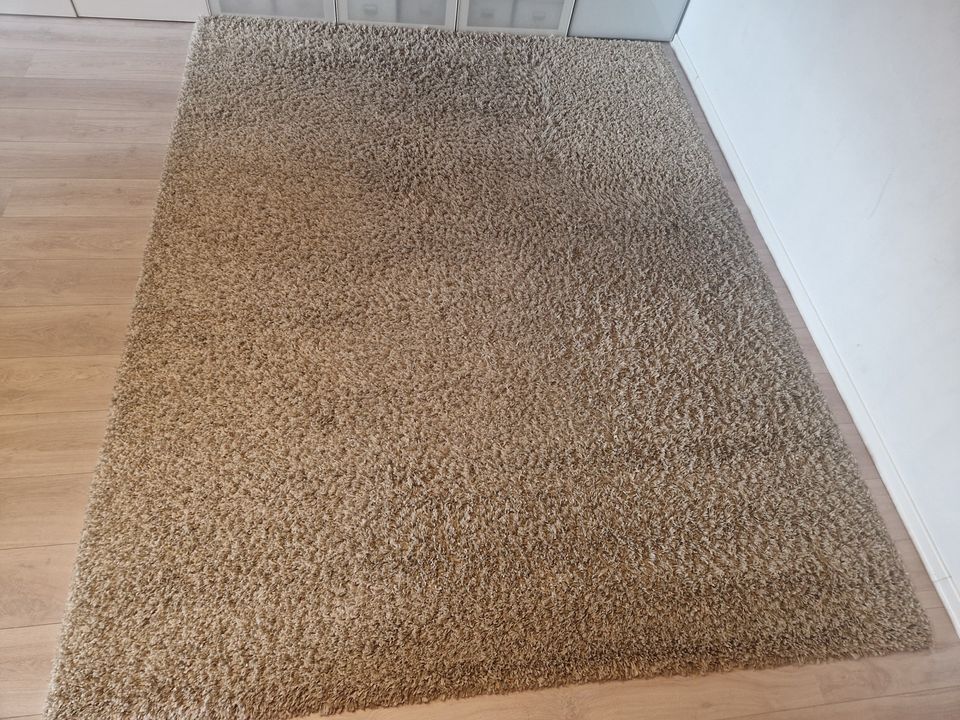 Kibek Langflorteppich beige in Herne