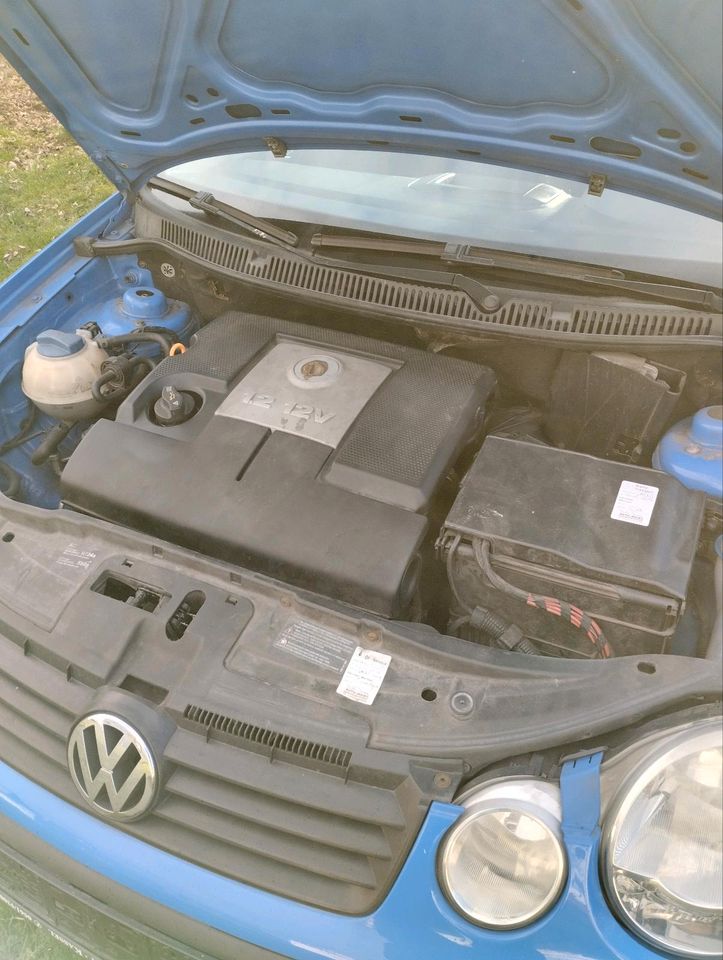 VW Polo 1.2 benzin in Kassel