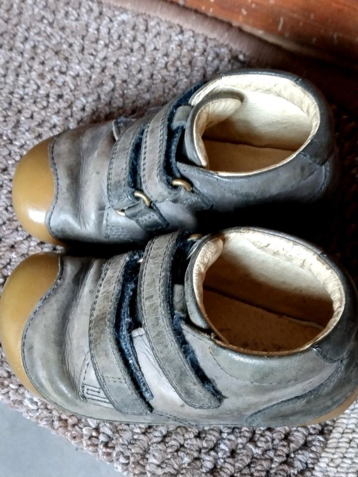Kleinkinder Schuhe in Penzlin