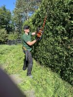 Gartenpflege / Heckenschnitt / Obstbaumschnitt / Baumpflege Baden-Württemberg - Beilstein Vorschau