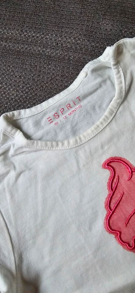 ESPRIT Shirts, T-Shirts Größe 80 in Schwerstedt bei Sömmerda