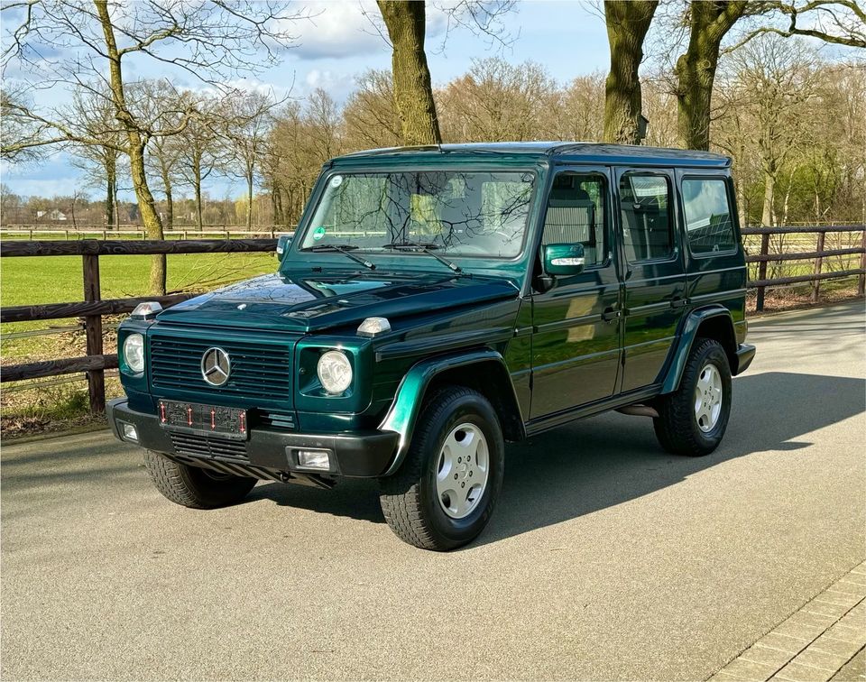 Mercedes Benz G-Klasse G270 cdi W463 AMG Felgen Tüv NEU in Spelle