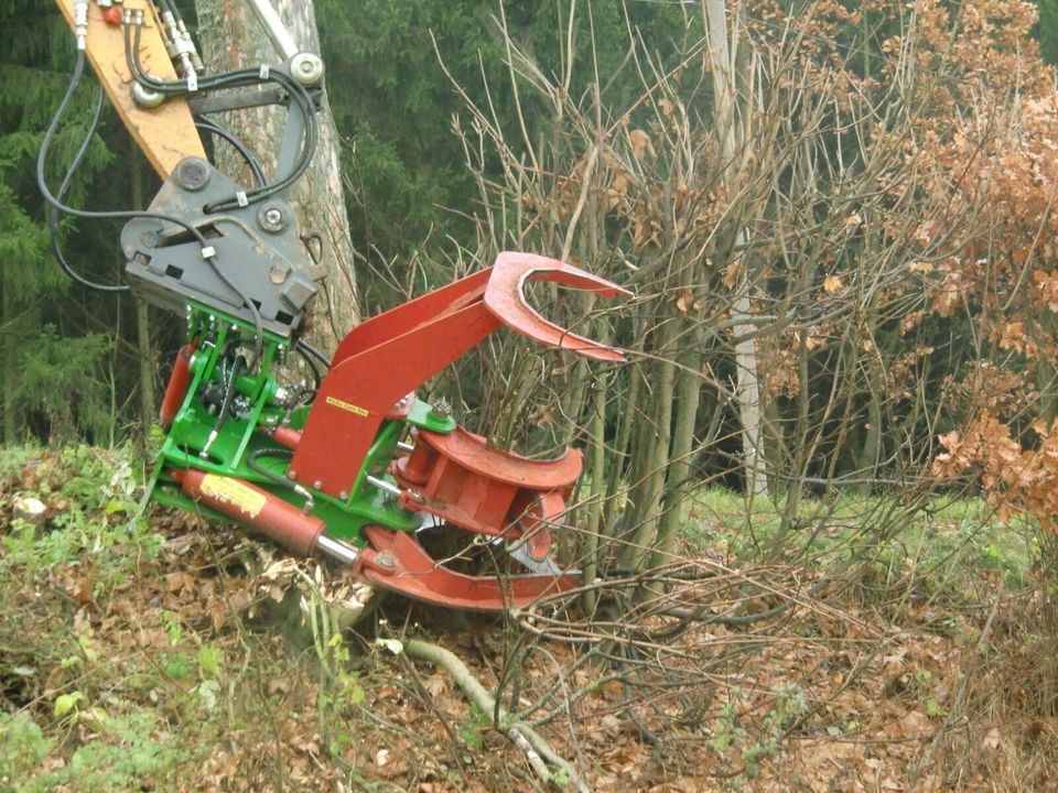 Fällgreifer Baumschere Energieholzernte Bagger Rodungen HBS 300 in Roßbach