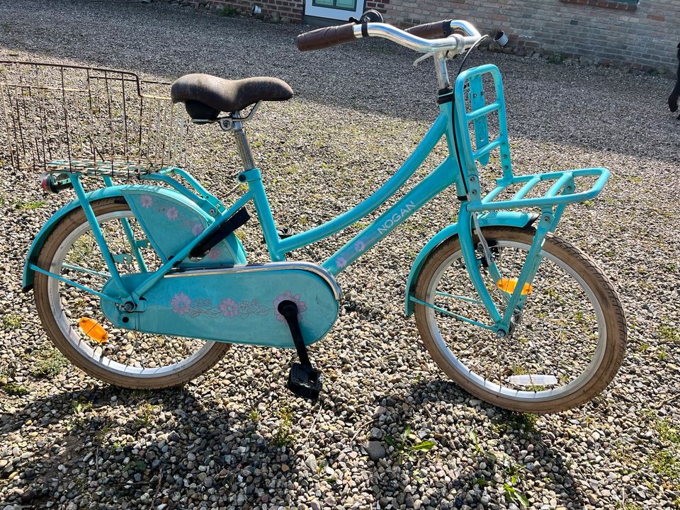 Kinderfahrrad Nogan 20 Zoll in Goldelund