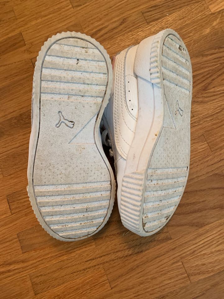 Puma Kinder Mädchen Sneaker  Gr. US 11C / EU 28 in Wetzlar