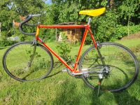 Vintage-Rennrad, Marke Columbus, Shimano 600 Ausstattung, 12 Gang Nordrhein-Westfalen - Bergisch Gladbach Vorschau