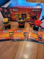 Lego 40490 Ninjago Brickheads Bayern - Ringelai Vorschau