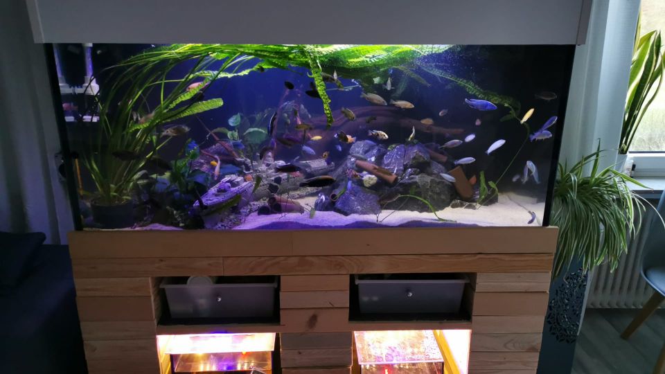 Aquarium 150cm*80cm*80cm 960l in Blankenheim