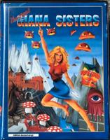 SUCHE: Giana Sisters Atari ST o. c64 offen oder sealed Berlin - Neukölln Vorschau