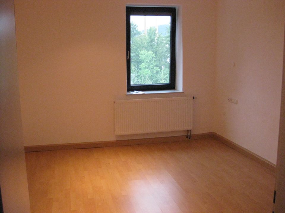 Zwiesel - schöne 2-Zimmer-Wohnung, EG mit EBK, Garten, zentral in Zwiesel