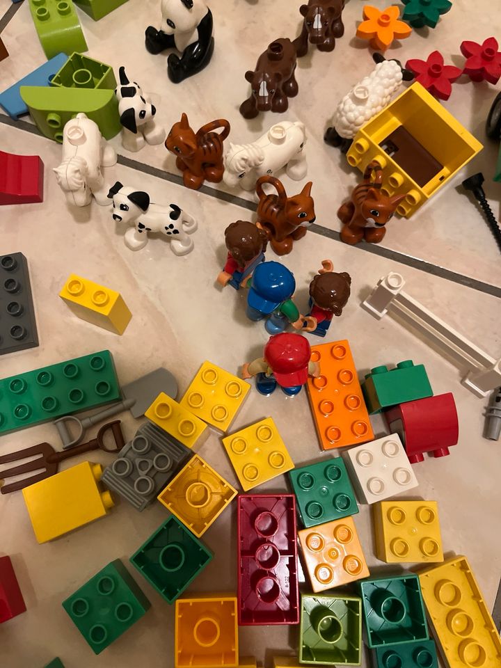 Lego Duplo Sammlung in Odenthal
