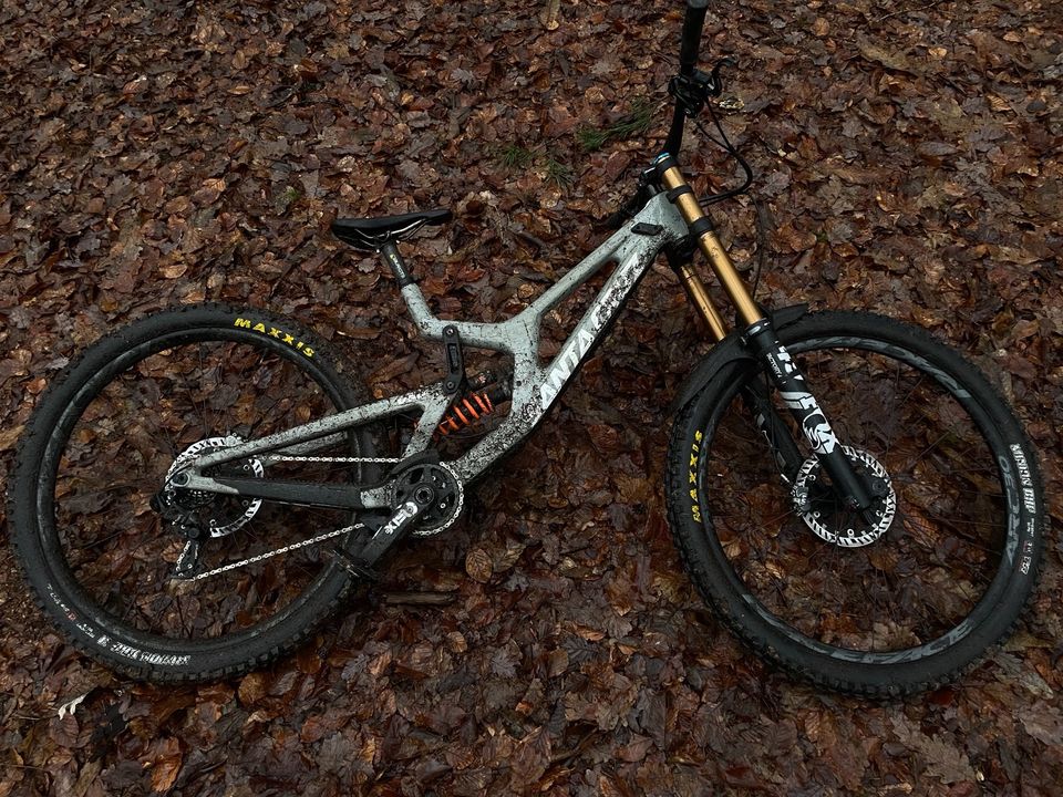 SANTA CRUZ V10 L Grey (Canyon,Commencal,Specialized,Downhill) in Frankfurt am Main