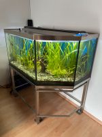 Aquarium 300 Liter Baden-Württemberg - Göppingen Vorschau