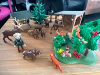 Playmobil Waldtiere Hirsch Rehe Hasen Igel Eichhörnchen Wildschwe Baden-Württemberg - Balingen Vorschau