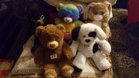 ❤Schöne Sachen von Build a Bear ❤ Nordrhein-Westfalen - Lemgo Vorschau