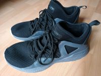 Nike Air Jordan Formula 23 Schuhe Turnschuhe Gr. 44 Niedersachsen - Celle Vorschau