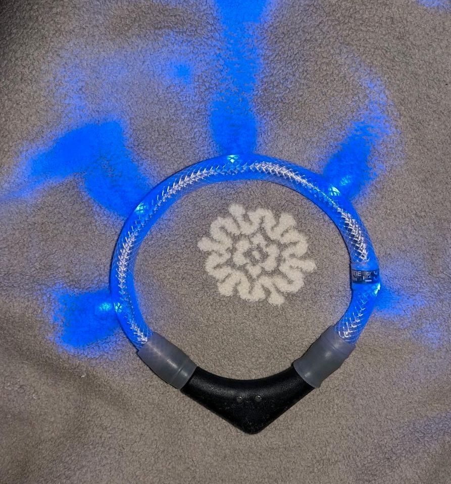 Leuchtie easy Charge blau 37,5 cm Leuchthalsband in Winsen (Luhe)