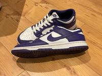 Nike Dunk Low Retro white purple weiß lila Gr.45 1A Zustand Hessen - Groß-Bieberau Vorschau
