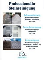Professionelle Steinreinigung München - Untergiesing-Harlaching Vorschau