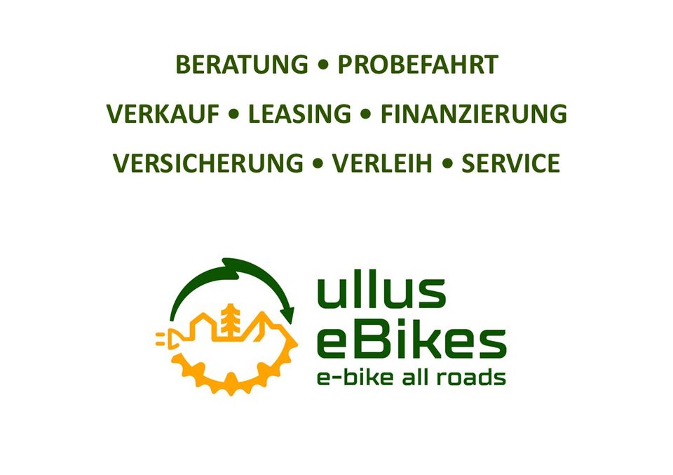 SONDERANGEBOT e-Bike, Pedelec, THOK MIG-HT in Linden