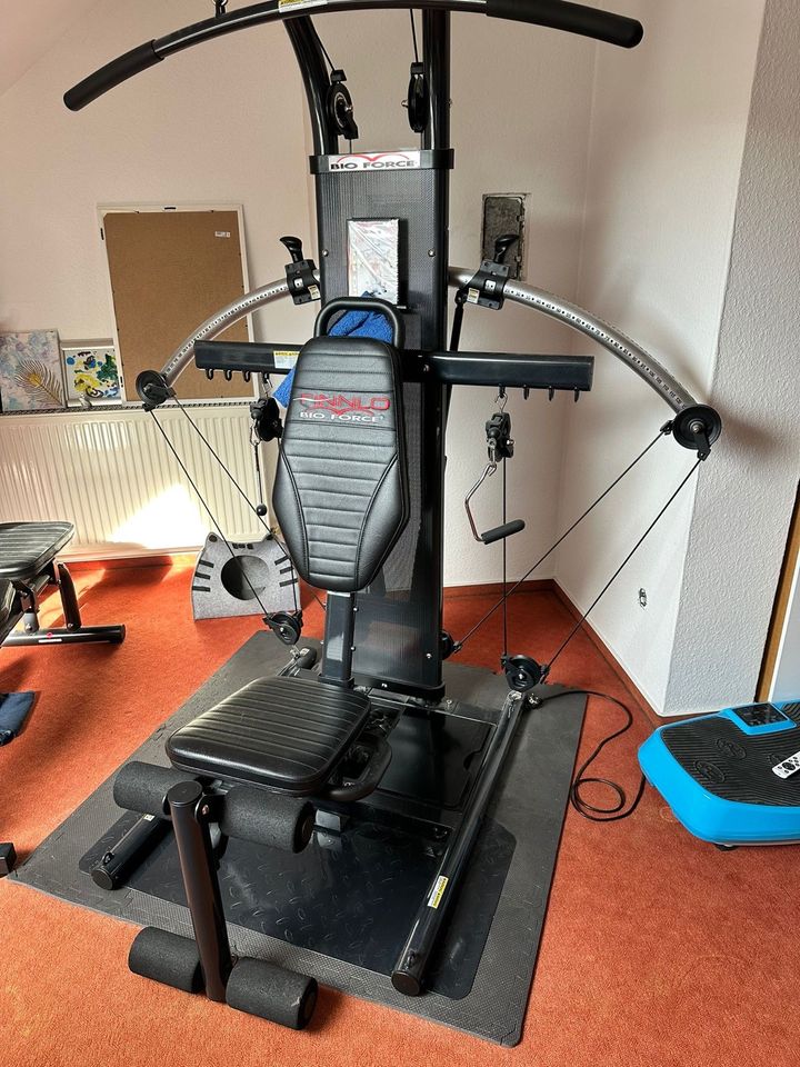 Finnlo Bio Force extrem mit Ancheer Vibrationboard in Bad Sooden-Allendorf