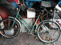 26er DDR Diamant Damenfahrrad zu verkaufen Sachsen-Anhalt - Muldestausee Vorschau