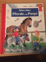 Alles über Pferde und Ponys wieso weshalb warum Bayern - Friedberg Vorschau