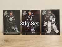 3er Set Autogrammkarten ICE Tigers Nürnberg 2013/2014 Reimer Rupp Nürnberg (Mittelfr) - Großreuth b Schweinau Vorschau