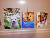 Hunde Buch, Welpen Buch Bayern - Woringen Vorschau