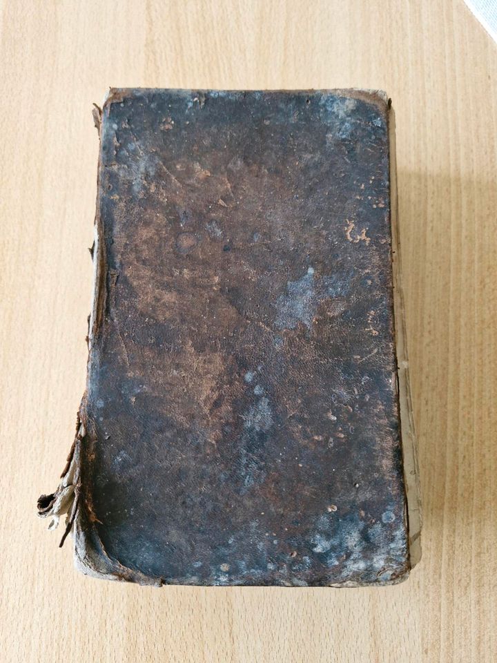 Bibel 1886 Testament Heilige Schrift Altes Buch Luther Martin in Albstadt