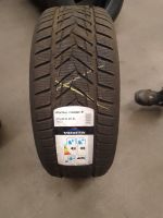 275/45R20 110V Vredestein Wintrac Xtreme S Rheinland-Pfalz - Trier Vorschau