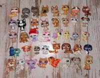 Littlest Pet Shop Figuren Pro Figur 5 € Duisburg - Hamborn Vorschau