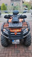 CF Moto Terralander 800 ATV Niedersachsen - Faßberg Vorschau