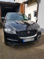 Jaguar F-Pace 25t AWD Prestige Automatik Prestige Schleswig-Holstein - Koberg Vorschau