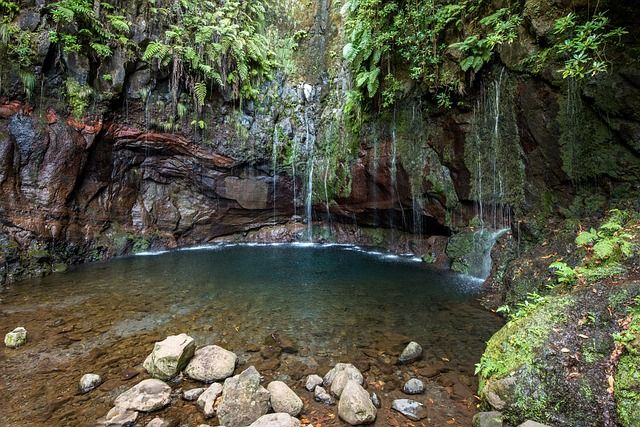 Überwintern auf Madeira 21 Nächte mit Frühstück ab 1111€ in Berlin