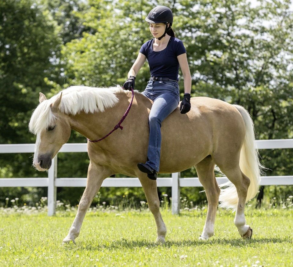 USG Halsring rund & größenverstellbar versch. Farben € 17,00* in Wathlingen