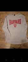 Harvard Pulli Brandenburg - Pessin Vorschau