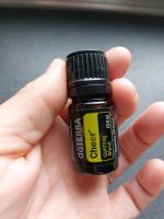 Doterra Cheer 5 ml Flasche Nordrhein-Westfalen - Mülheim (Ruhr) Vorschau