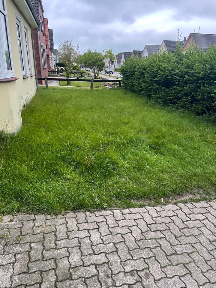 Garten Gras mähen in Bredstedt