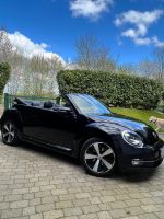 Exklusives Beetle Cabrio in schwarz, so wie es sein sollte Schleswig-Holstein - Rumohr Vorschau