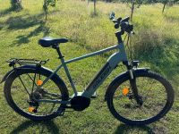 E-Bike Raleigh Dundee 2022, 2500km, Rahmengröße 55, Mineralgreen Sachsen - Kamenz Vorschau