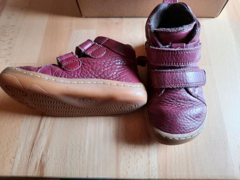 Froddo Schuhe Mädchen Größe 22 in Dinkelsbuehl