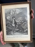 Johann Elias Ridinger Jagd Hirsch Wald Kupferstich Brandenburg - Ziesar Vorschau