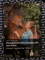 Buch Pferdeführerschein Sachsen - Kitzscher Vorschau