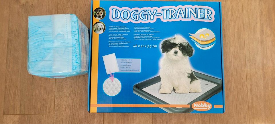 Nobby Doggy-Trainer Pippimatte mit Training Ersatzpads S in Weilrod 