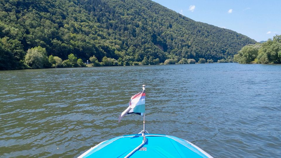 Festrumpfschlauchboot WIKING TITAN mit Suzuki 140 PS in Bonn